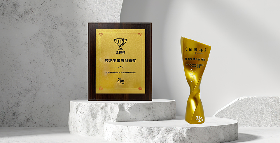 喜报 | 乐鱼在线平台-乐鱼在线官网荣获真锂研究“技术突破与创新奖”